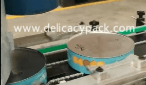 Automatic biscuit can production line